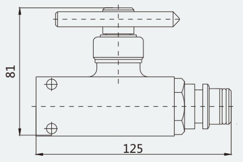 Original dimension drawing or hydraulic symbol excerpt 1 for FJQ125/31.5